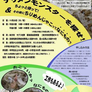 チリメンモンスターを探せ&ちょっと待って!その前にちりめんじゃこっ...