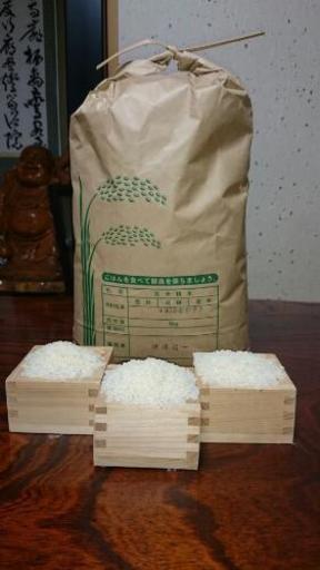 平成29年度産 一等米 彩のかがやき20㎏