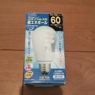 電球形蛍光ランプ 60ワット ②