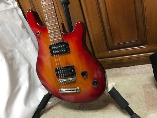 交渉可）Washburn BT-2 | djecjaposla.com