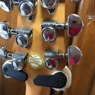 （交渉可）Washburn BT-2