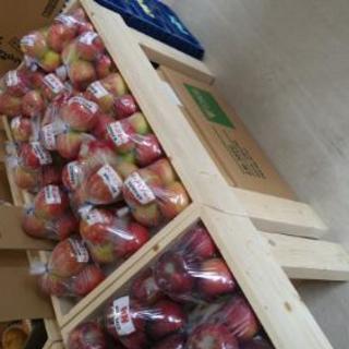 旬のフルーツ!新鮮野菜!お届け