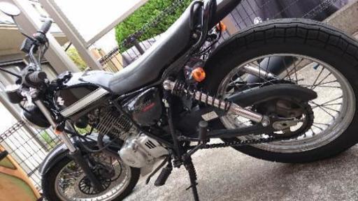 SUZUKI グラストラッカービックボーイ250