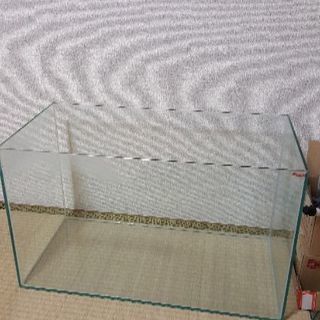 縁なしガラス水槽60センチ