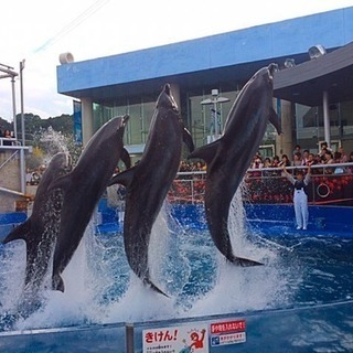 水族館のディープなおしゃべり会