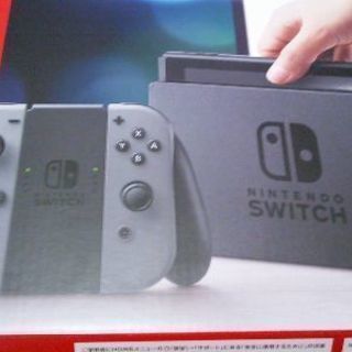 即日発送可能　美品　Nintendo Switch 2021年　グレー Nintendo Switch 2021年製 グレー 任天堂 Nintendo Switch