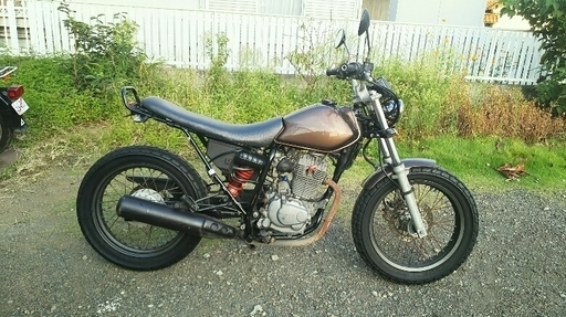 FTR223　セル始動！すぐ乗れます＾＾TW?　ST?グラストラッカー?