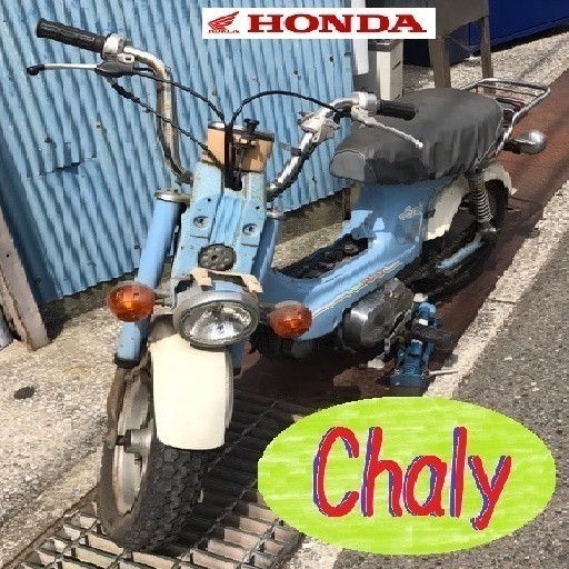 ★★★希少！シャリーCF50Z 後期Zシリーズ★お値引きあり★50㏄バイク
