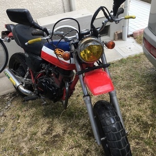 エイプ50 不動