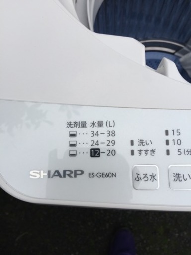 SHARP 全自動洗濯機 ES-GE60N 13年製