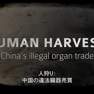 11/18(土)・映画『人狩り(Human Harvest) 』上...