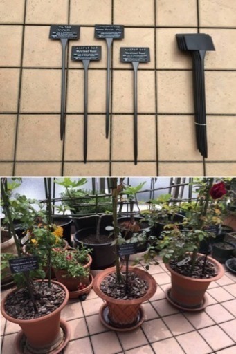 植物のネームプレート5本セット 1600 1500で売ります Kenken 浦和美園の家庭用品 ガーデニング の中古あげます 譲ります ジモティーで不用品の処分