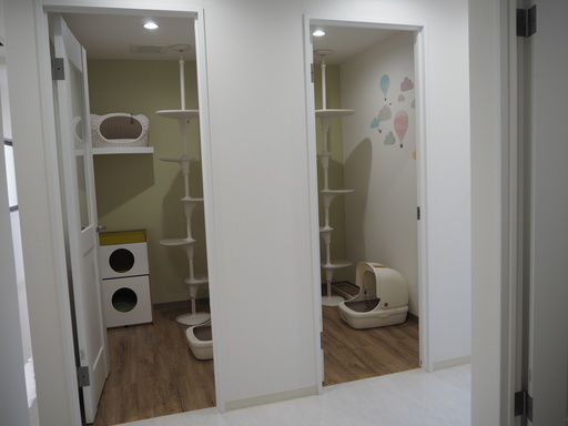 猫カフェ 猫専門ホテルのスタッフ募集 清水 放出のその他の無料求人広告 アルバイト バイト募集情報 ジモティー 猫カフェ 猫専門ホテルのスタッフ募集 清水 放出のその他の無料求人広告 アルバイト バイト募集情報 ジモティー