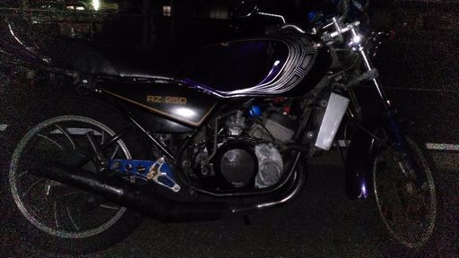 RZ 250実働書類無し