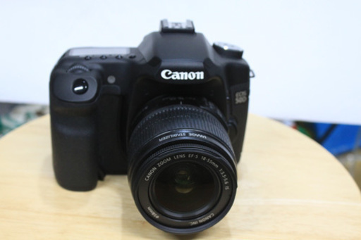 CANON EOS 50D + CANON ZOOM LENS EF-S 18-55mm デジタル一眼レフカメラ