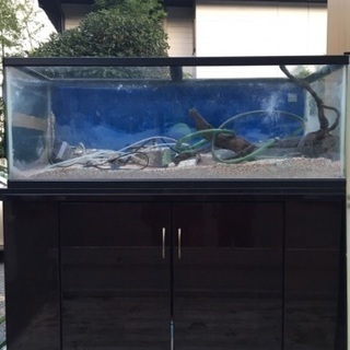 値下げ！水槽 セット一式 配送可能 w2-worldbuffet.co.uk