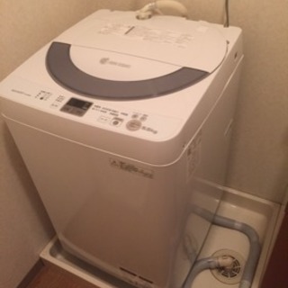 SHARP全自動洗濯機5.5kg 2013年式  美品