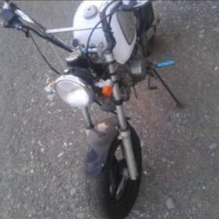 モンキーカスタムです、質問からどう