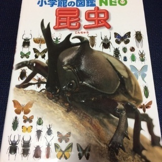 昆虫図鑑