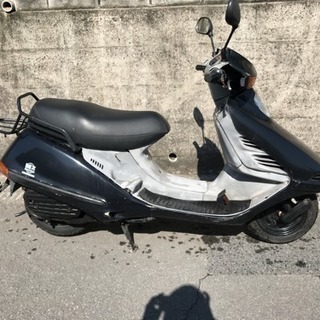 ☆ホンダ スペイシー125☆ 【公式通販】