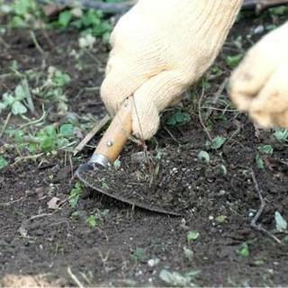 ■■福岡市博多区 草とり、草むしり、草抜き【福岡グリーン 博多営業所】