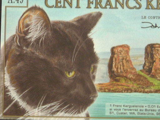 3匹の猫 ケルゲレン諸島紙幣 ポリマー3枚 新古品の美品並 コレクション 正平ちゃん 道ノ尾のおもちゃ ビンテージ コレクション の中古あげます 譲ります ジモティーで不用品の処分