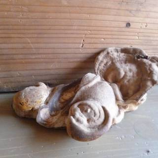 ◇さるのこしかけ（お店の展示物です）