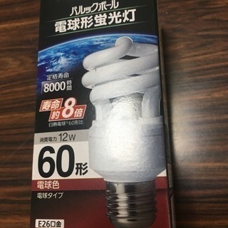 Panasonic 電球形蛍光灯