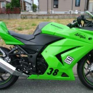 NINJA250R ニンジャ250R レーサー仕様　実働