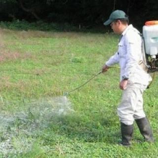 ■■福岡市中央区 雑草でお困りではないですか？除草剤散布致します...