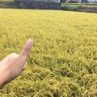 田舎の米　コシヒカリ　岐阜県中津川産 29年度新米！岐阜県中津川産コシヒカリ30kg