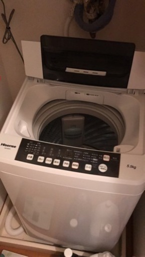 2016年製Hisense5.5kg洗濯機 保証書付き