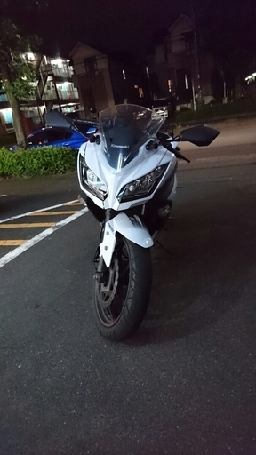 Ninja250 ABS 2014年式 ツーブラマフラー
