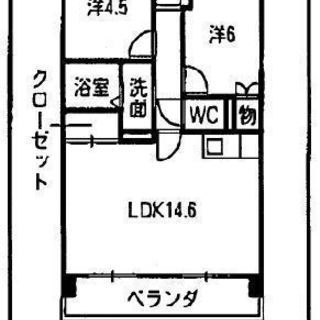 57.85m2, 2LDK, 59,000円、城跡公園前で桜が綺麗なマンション！The cherry trees at the front of the rent house are very pretty in the spring. - 不動産