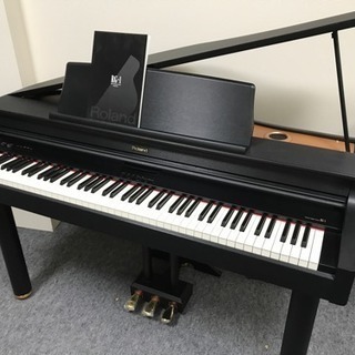 ローランド RG-1-SB 2009年製