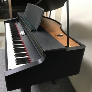 ローランド RG-1-SB 2009年製