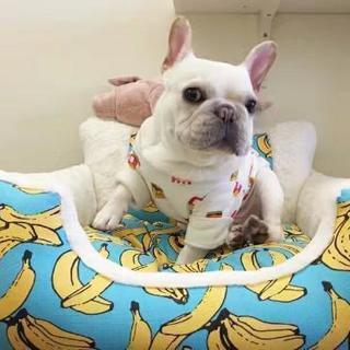 ペットベッド ソファー 犬 猫 ペット用品