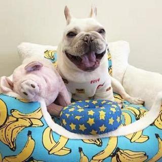 ペットベッド ソファー 犬 猫 ペット用品