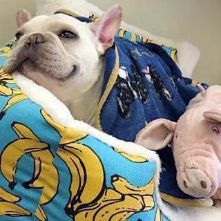 ペットベッド ソファー 犬 猫 ペット用品