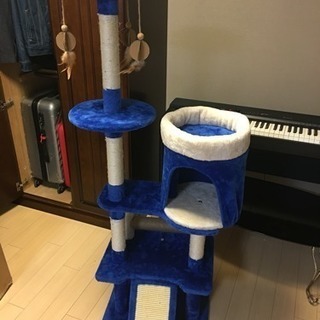 猫のタワー