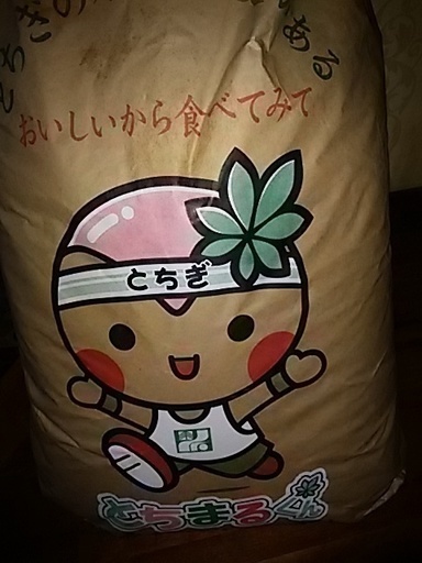 玄米