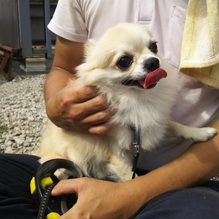 農作業,手伝ってくれるかたいませんか??