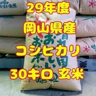 29年度コシヒカリ30kg