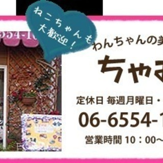 初回トリミング10%OFF!!