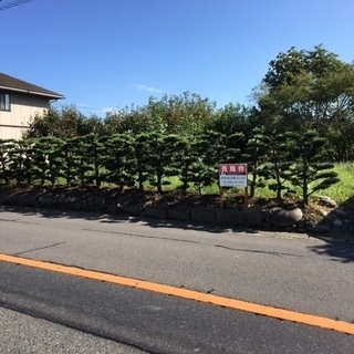 一宮市明地　売地　８００坪 県道沿い　