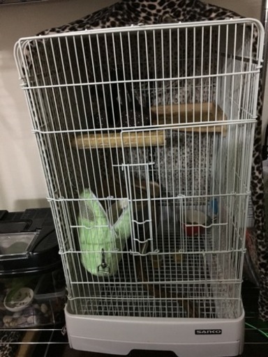 フクロモモンガのゲージなど