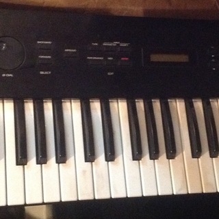 Roland S-10