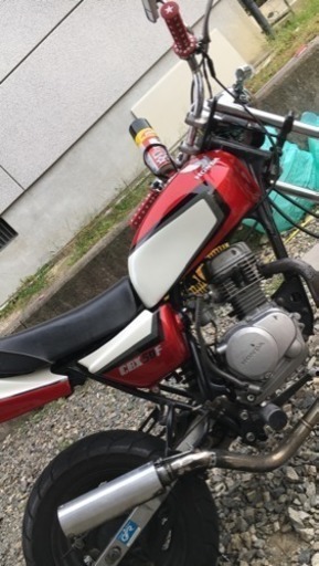 エイプ50cc「cbx仕様」