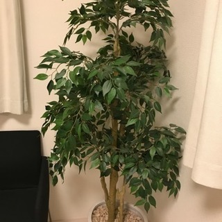 観葉植物 造花