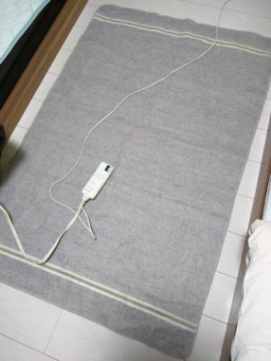 電気敷き毛布！！
